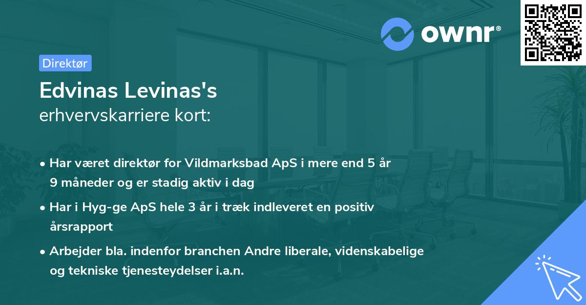 Edvinas Levinas's erhvervskarriere kort