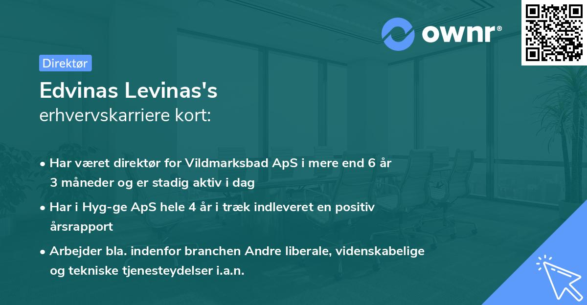 Edvinas Levinas's erhvervskarriere kort