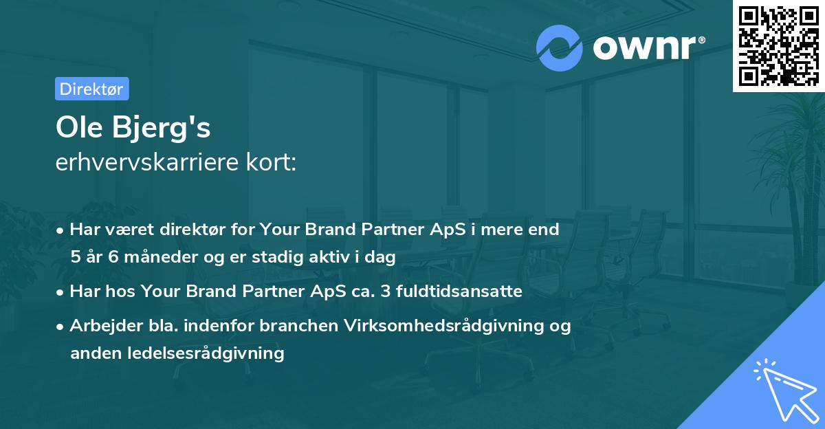 Ole Bjerg's erhvervskarriere kort