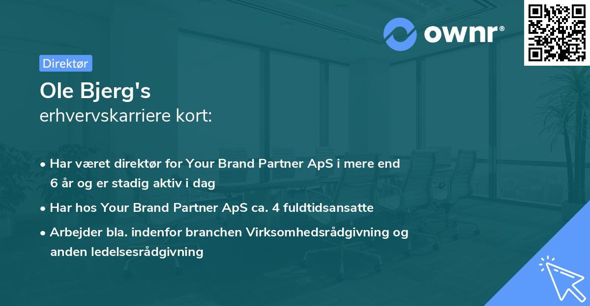 Ole Bjerg's erhvervskarriere kort