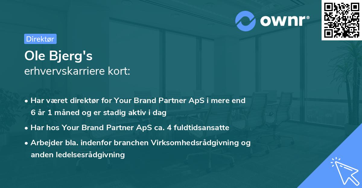 Ole Bjerg's erhvervskarriere kort