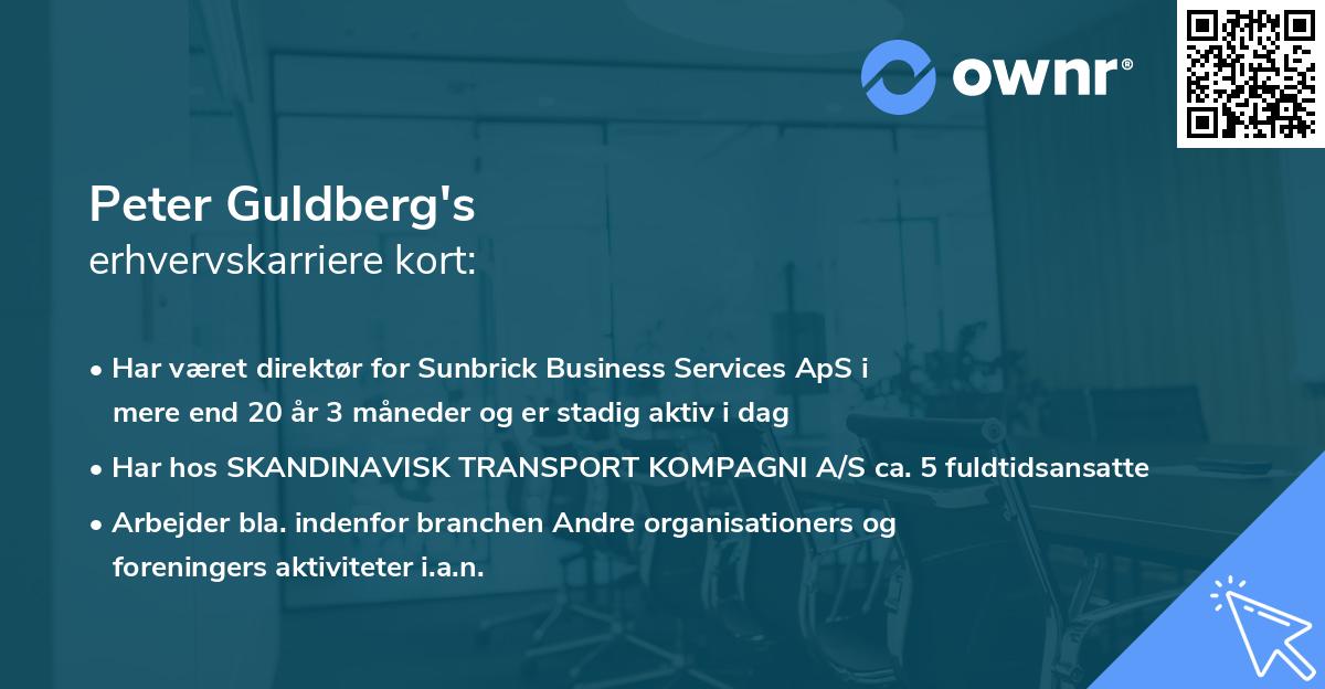 Peter Guldberg's erhvervskarriere kort