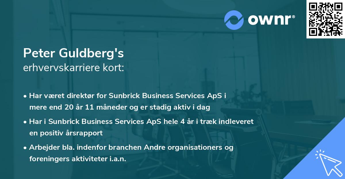 Peter Guldberg's erhvervskarriere kort