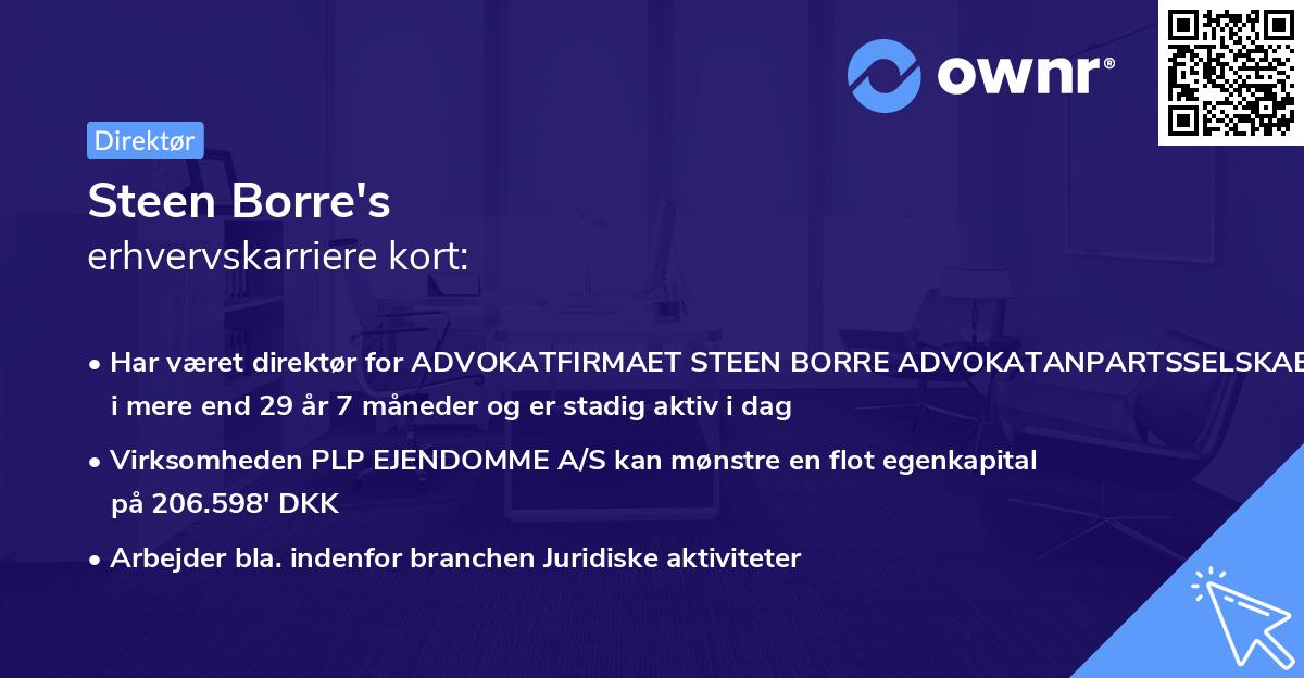Steen Borre's erhvervskarriere kort