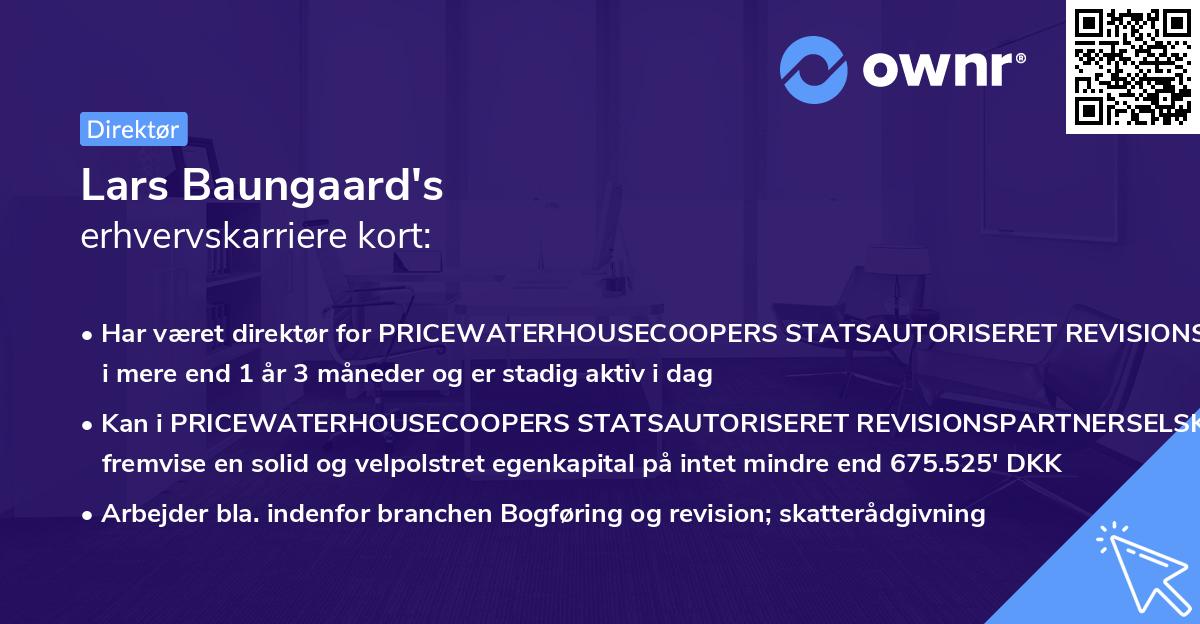 Lars Baungaard's erhvervskarriere kort