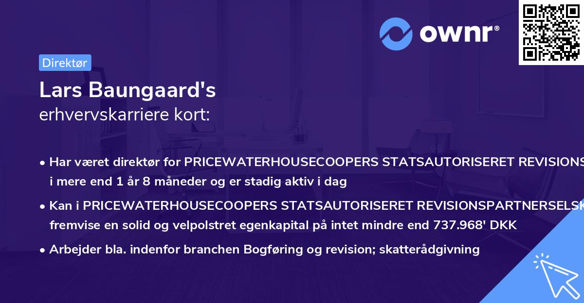 Lars Baungaard's erhvervskarriere kort