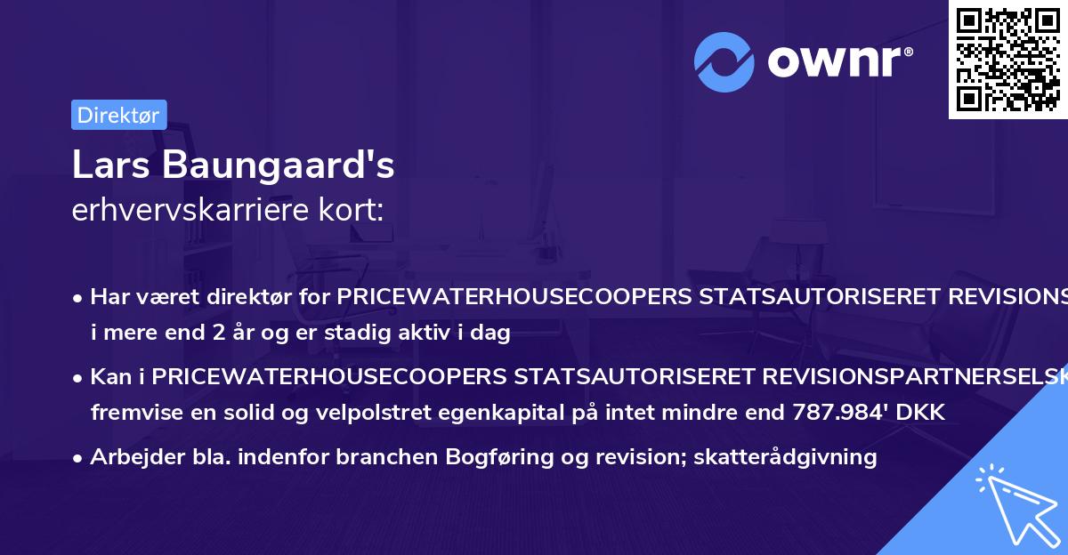 Lars Baungaard's erhvervskarriere kort