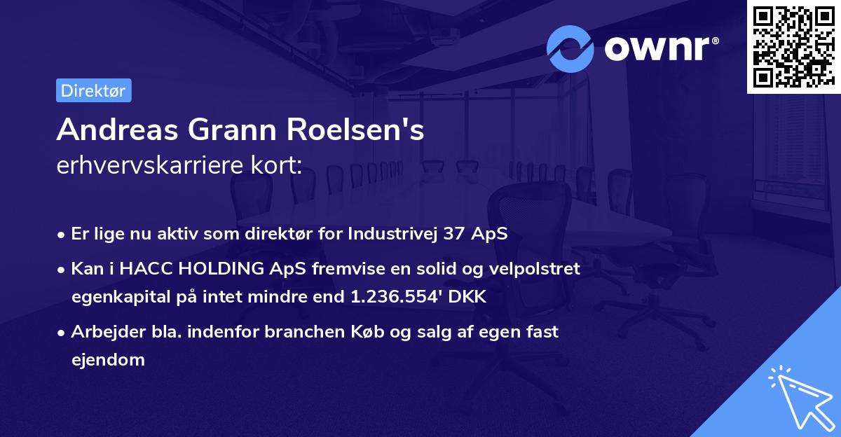Andreas Grann Roelsen's erhvervskarriere kort