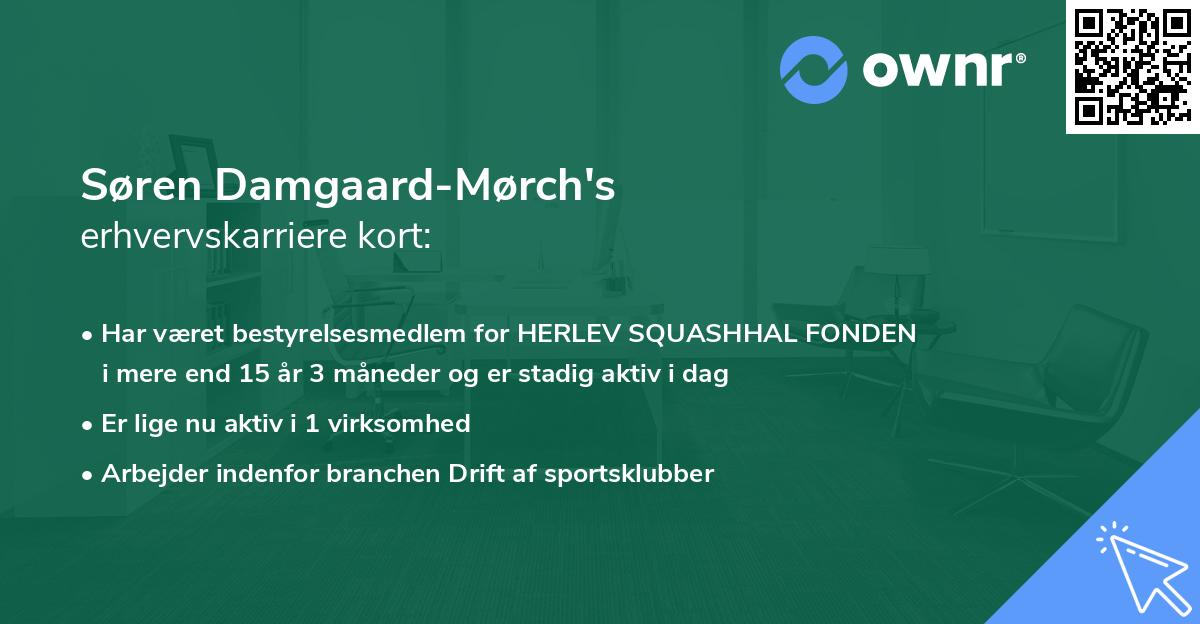 Søren Damgaard-Mørch's erhvervskarriere kort