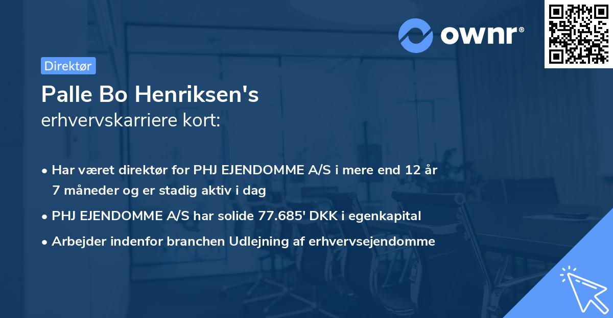 Palle Bo Henriksen's erhvervskarriere kort