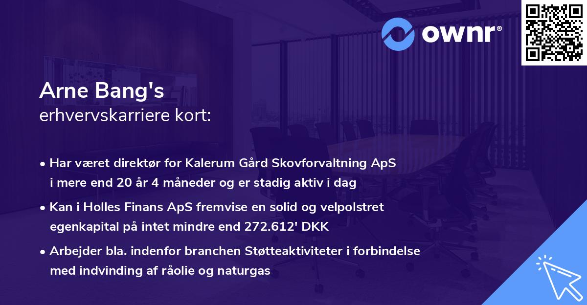 Arne Bang's erhvervskarriere kort