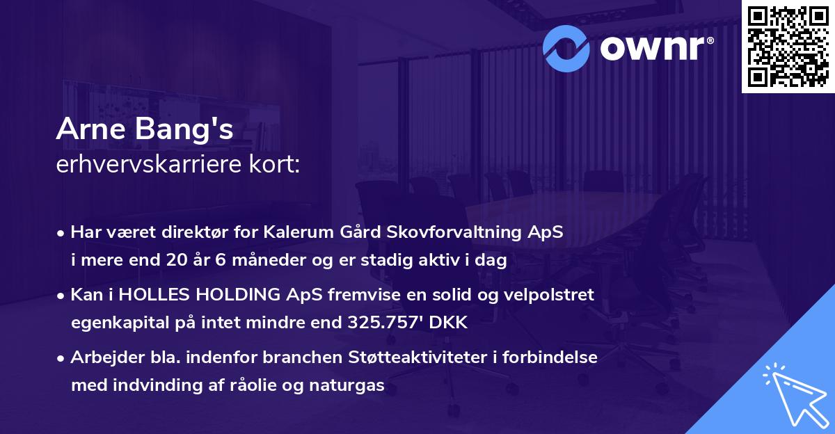 Arne Bang's erhvervskarriere kort