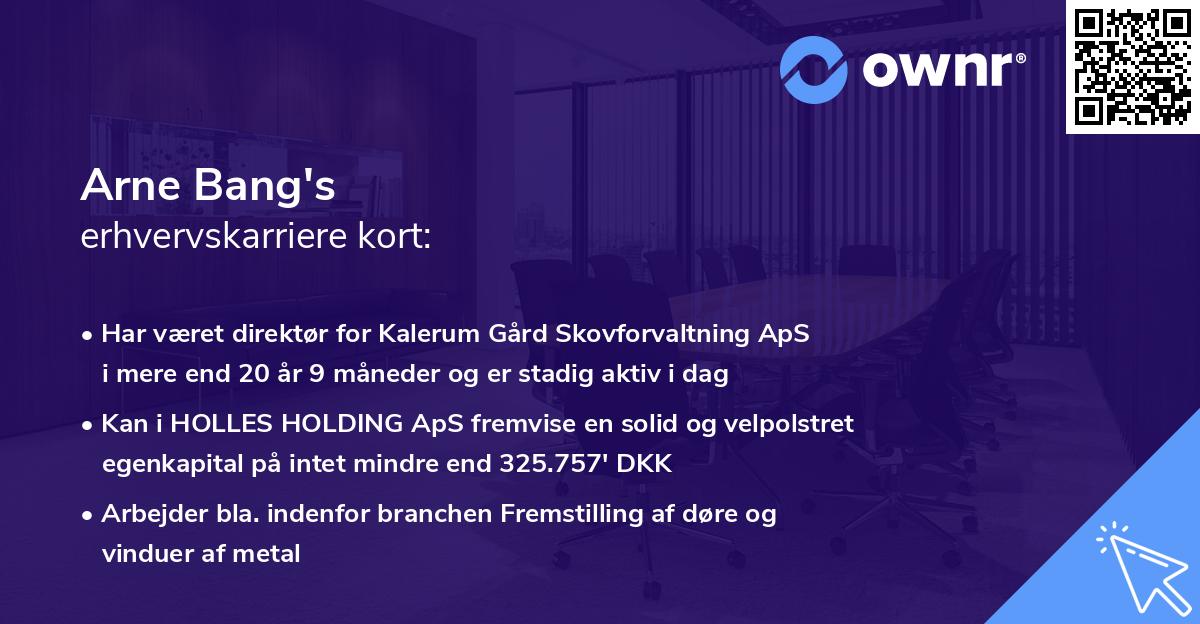 Arne Bang's erhvervskarriere kort