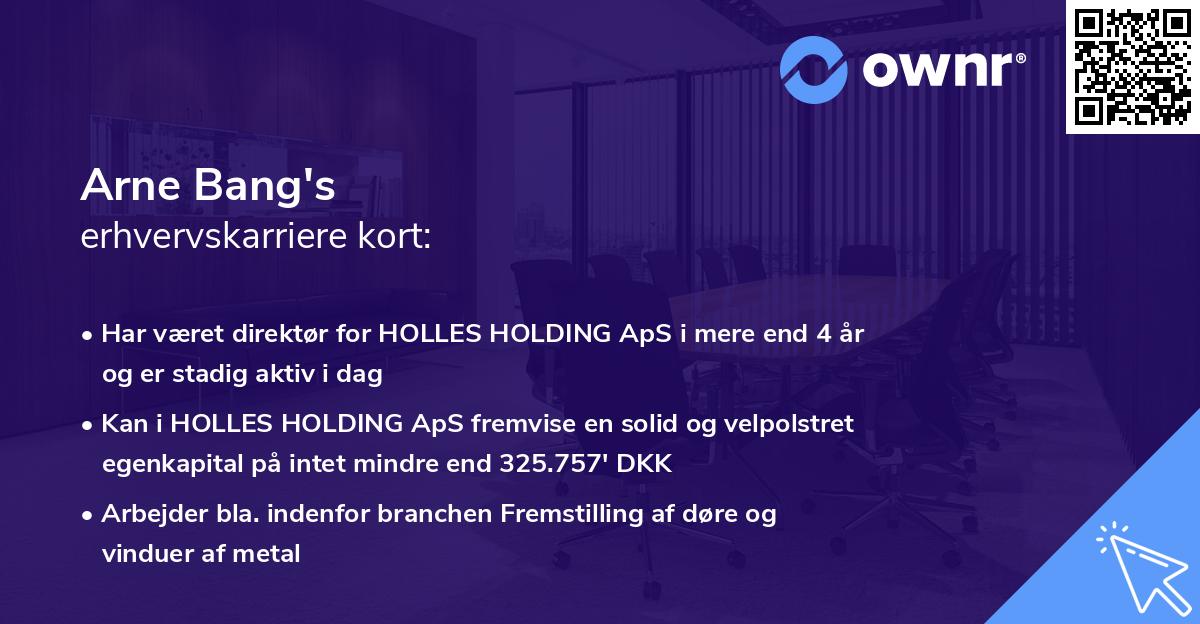 Arne Bang's erhvervskarriere kort