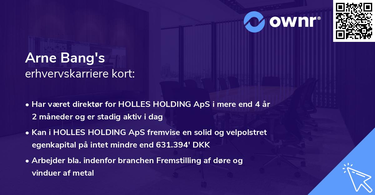 Arne Bang's erhvervskarriere kort