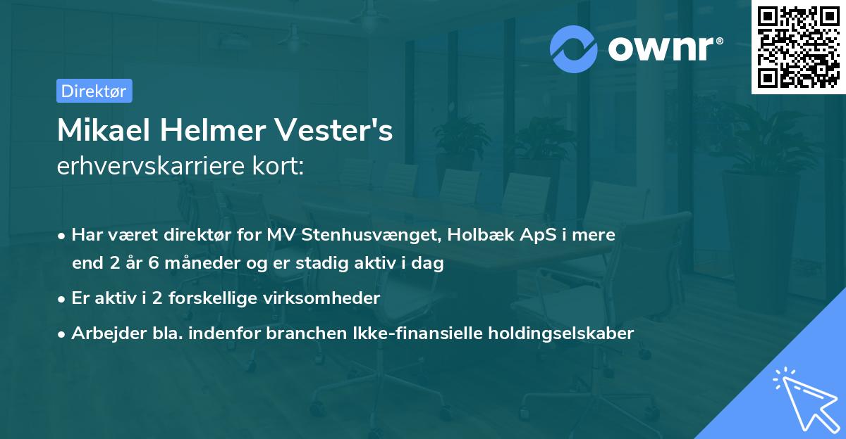 Mikael Helmer Vester's erhvervskarriere kort