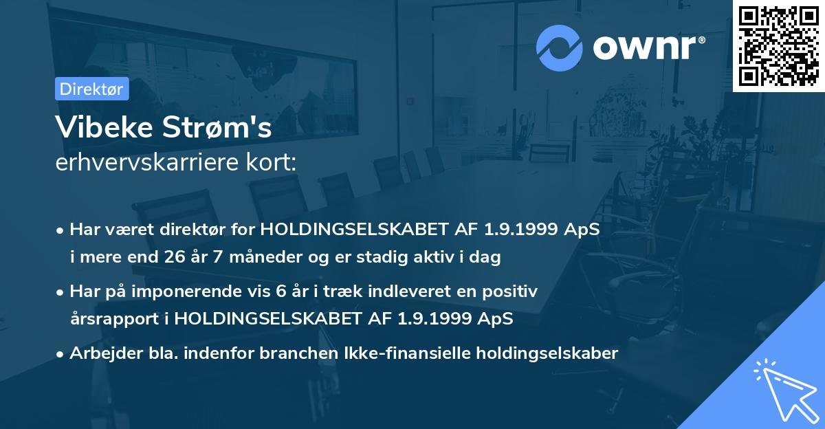 Vibeke Strøm's erhvervskarriere kort