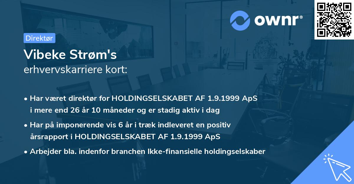 Vibeke Strøm's erhvervskarriere kort