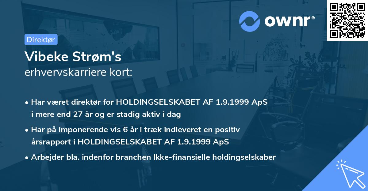 Vibeke Strøm's erhvervskarriere kort
