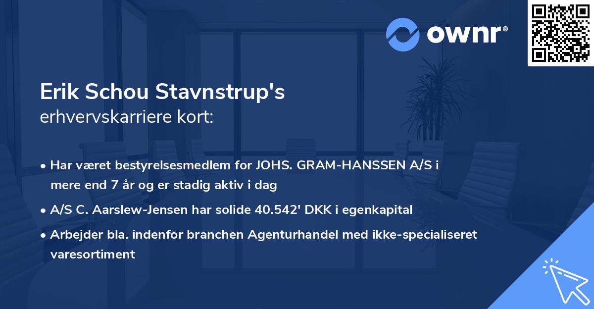 Erik Schou Stavnstrup's erhvervskarriere kort