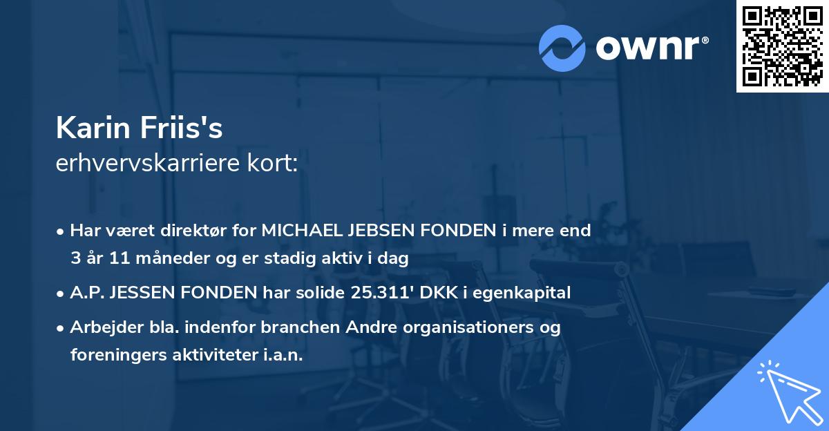 Karin Friis's erhvervskarriere kort