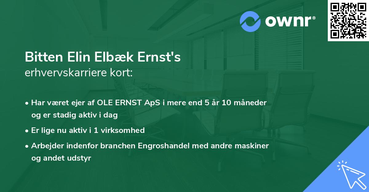 Bitten Elin Elbæk Ernst's erhvervskarriere kort