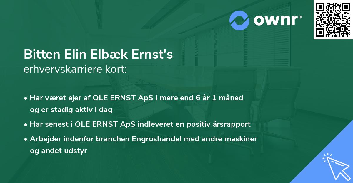 Bitten Elin Elbæk Ernst's erhvervskarriere kort