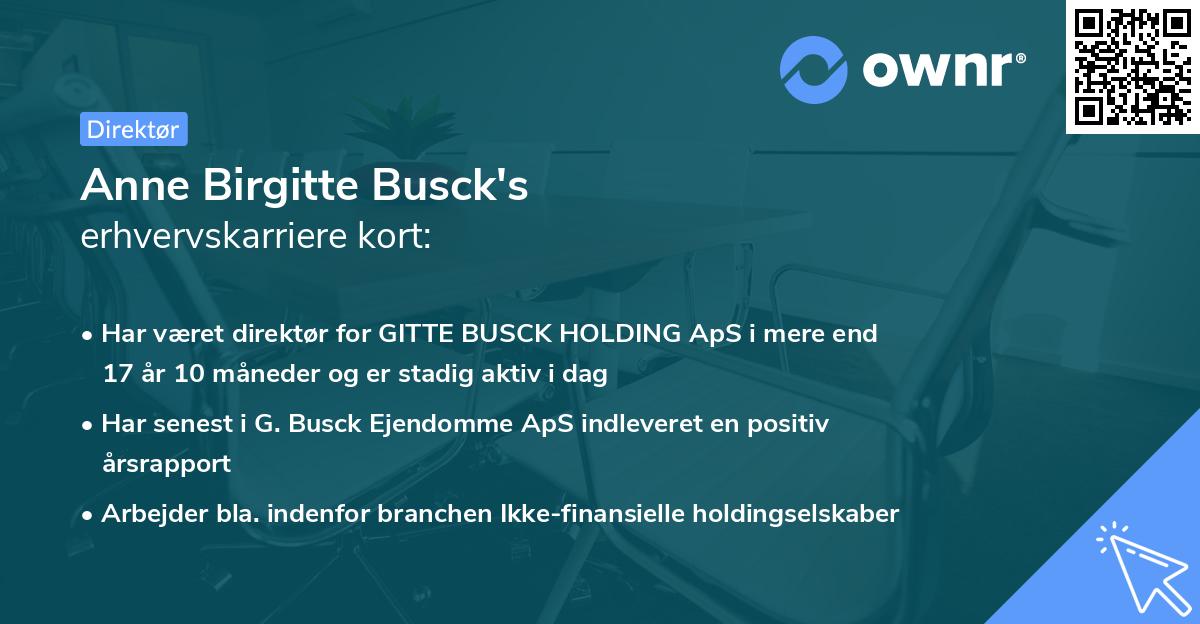 Anne Birgitte Busck's erhvervskarriere kort