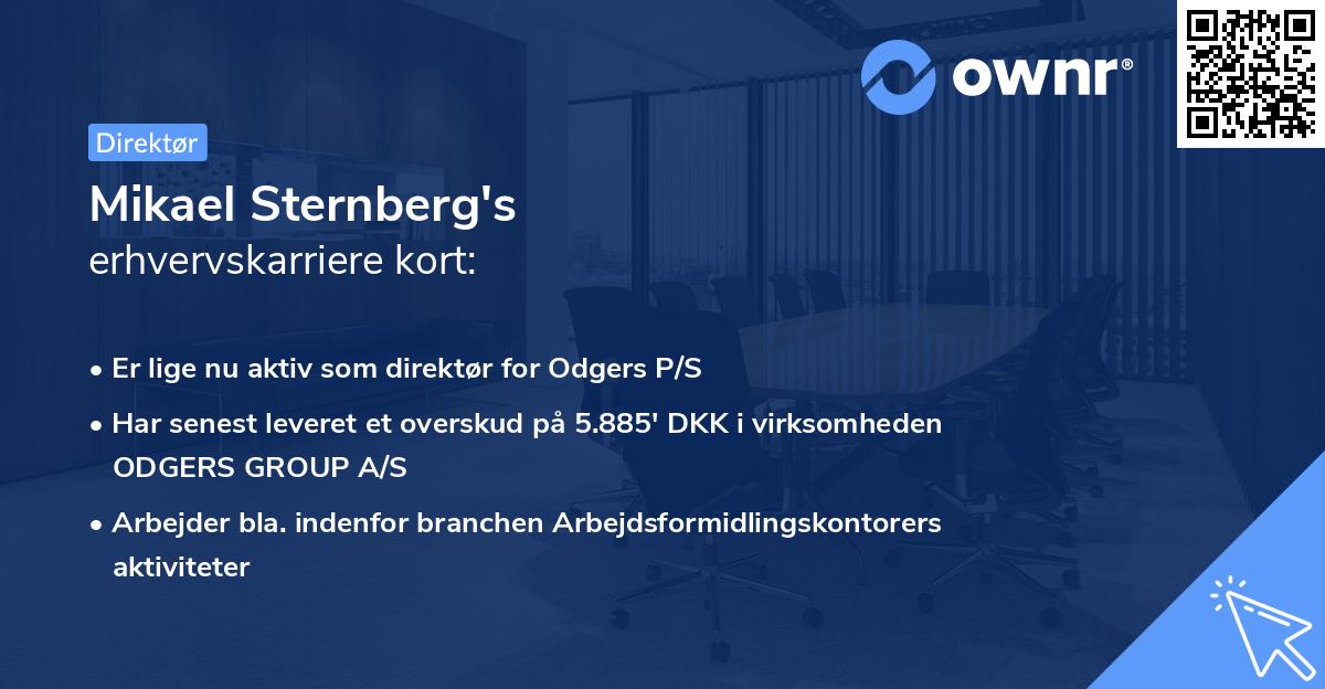 Mikael Sternberg's erhvervskarriere kort
