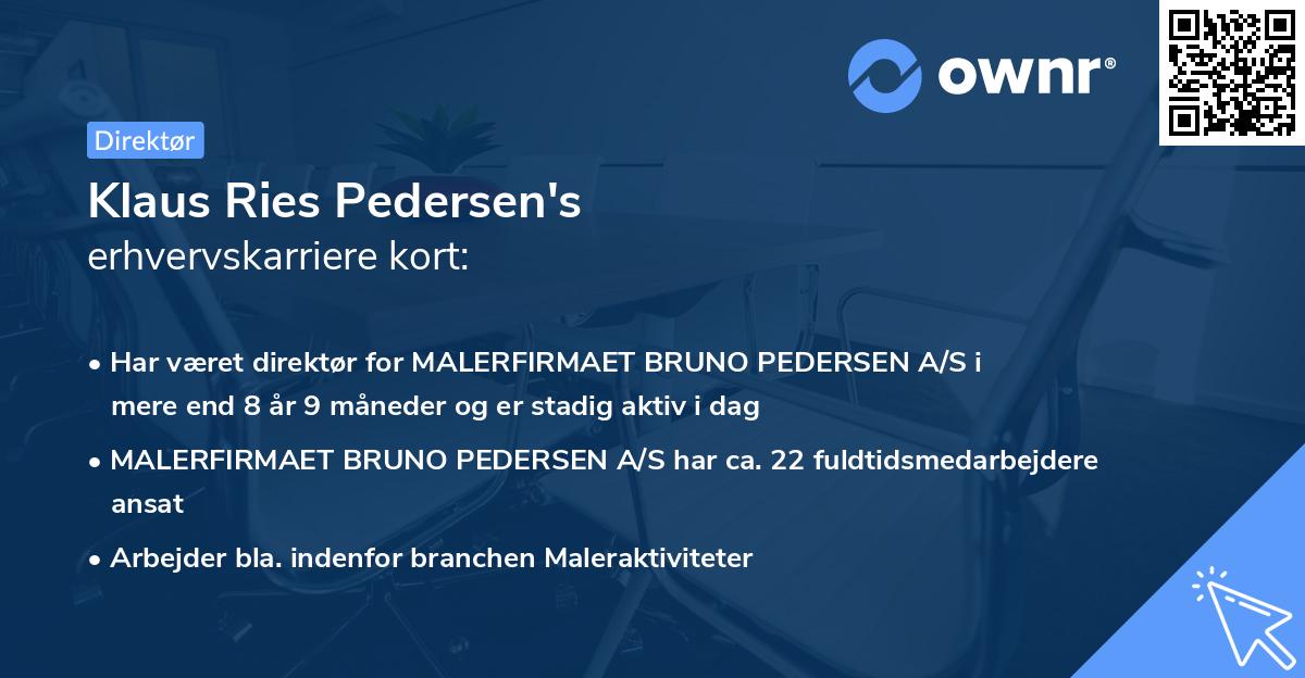 Klaus Ries Pedersen's erhvervskarriere kort