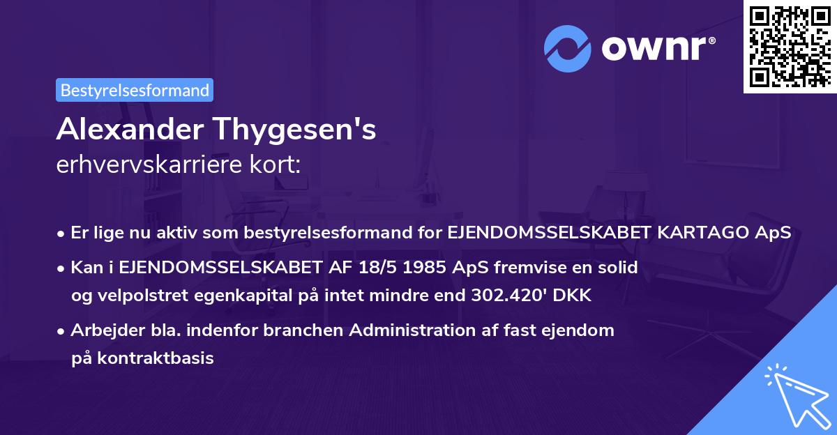 Alexander Thygesen's erhvervskarriere kort