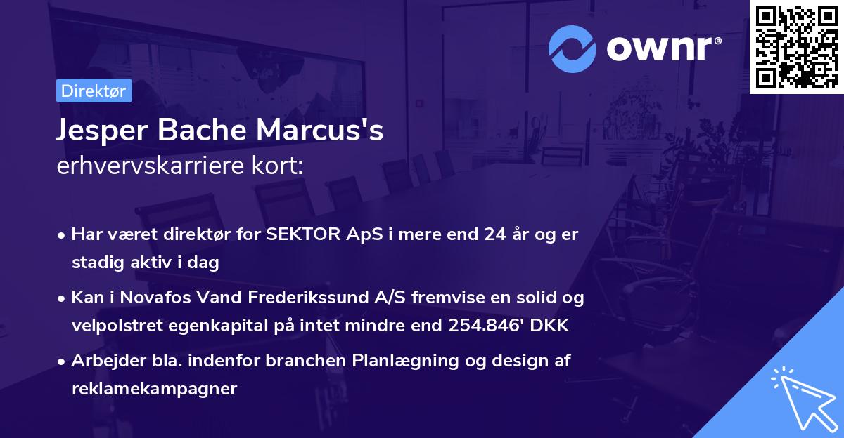 Jesper Bache Marcus's erhvervskarriere kort