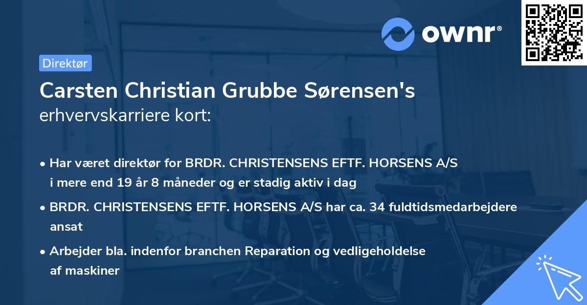 Carsten Christian Grubbe Sørensen's erhvervskarriere kort