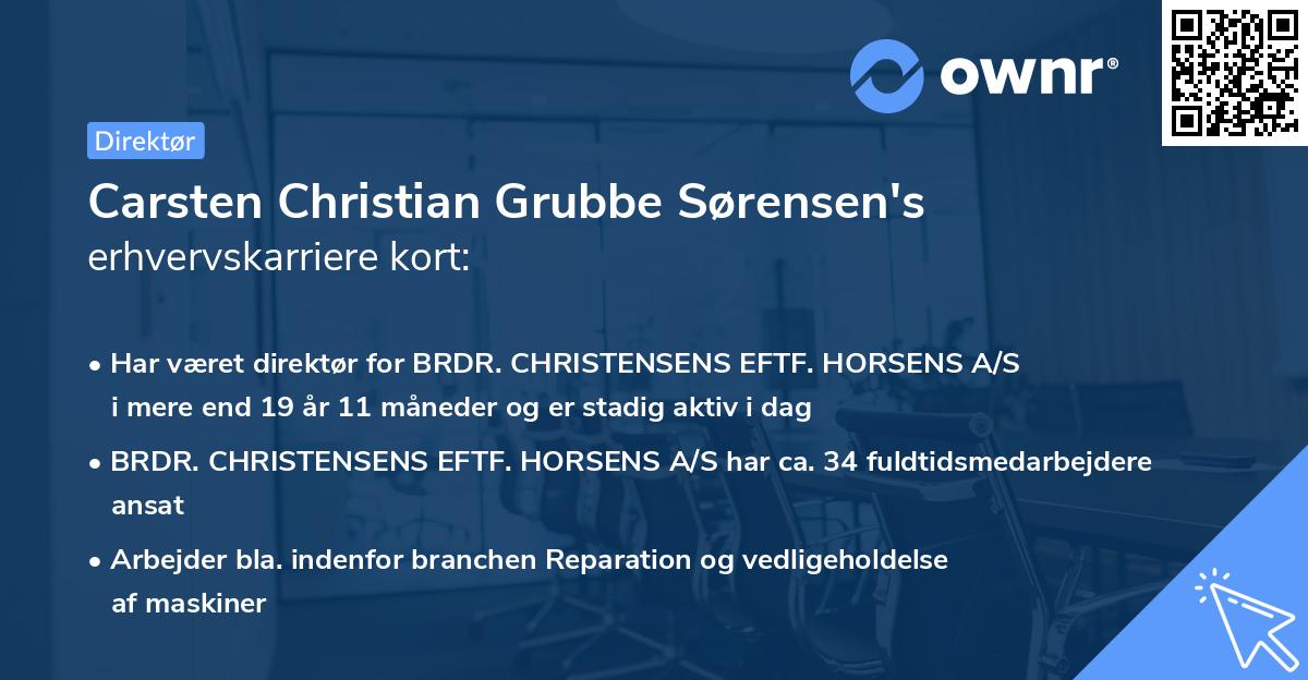Carsten Christian Grubbe Sørensen's erhvervskarriere kort