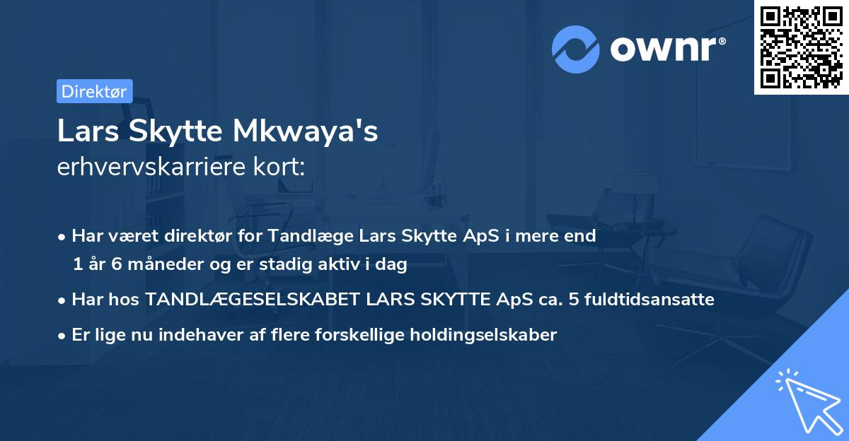 Lars Skytte Mkwaya's erhvervskarriere kort