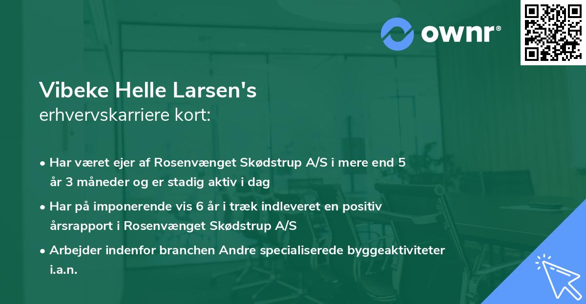 Vibeke Helle Larsen's erhvervskarriere kort