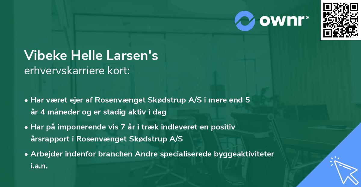 Vibeke Helle Larsen's erhvervskarriere kort