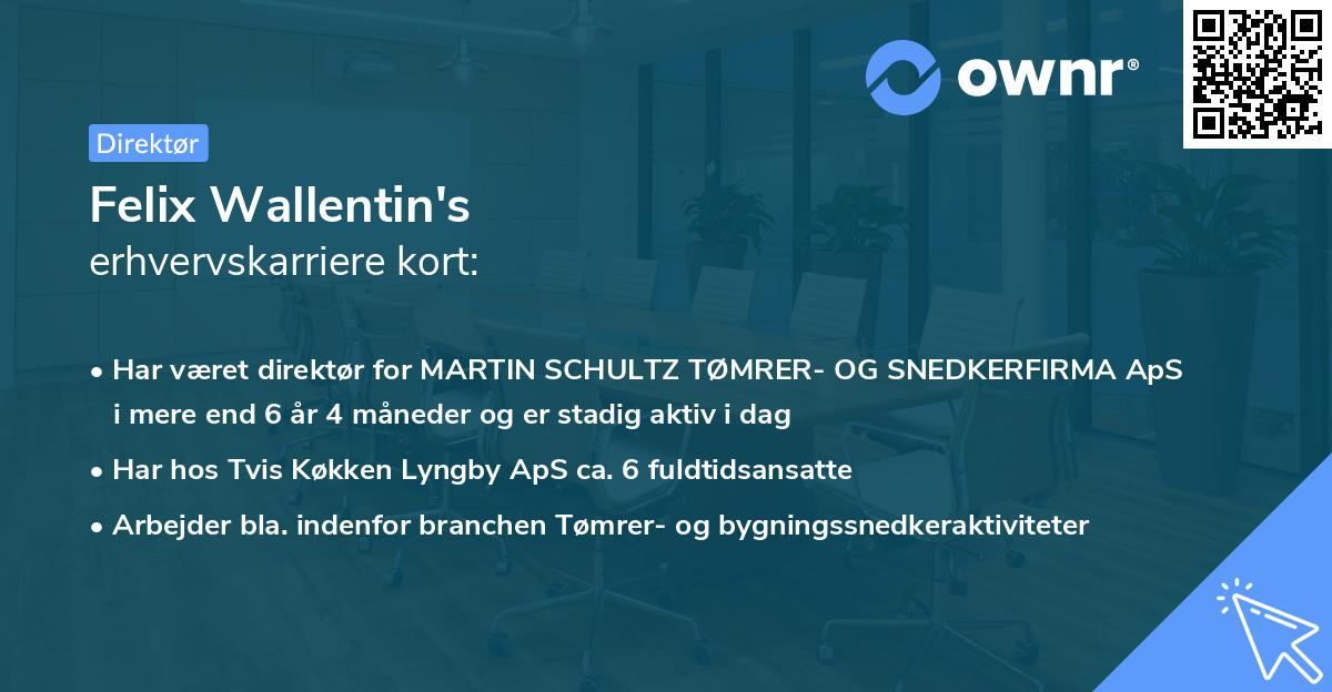 Felix Wallentin's erhvervskarriere kort