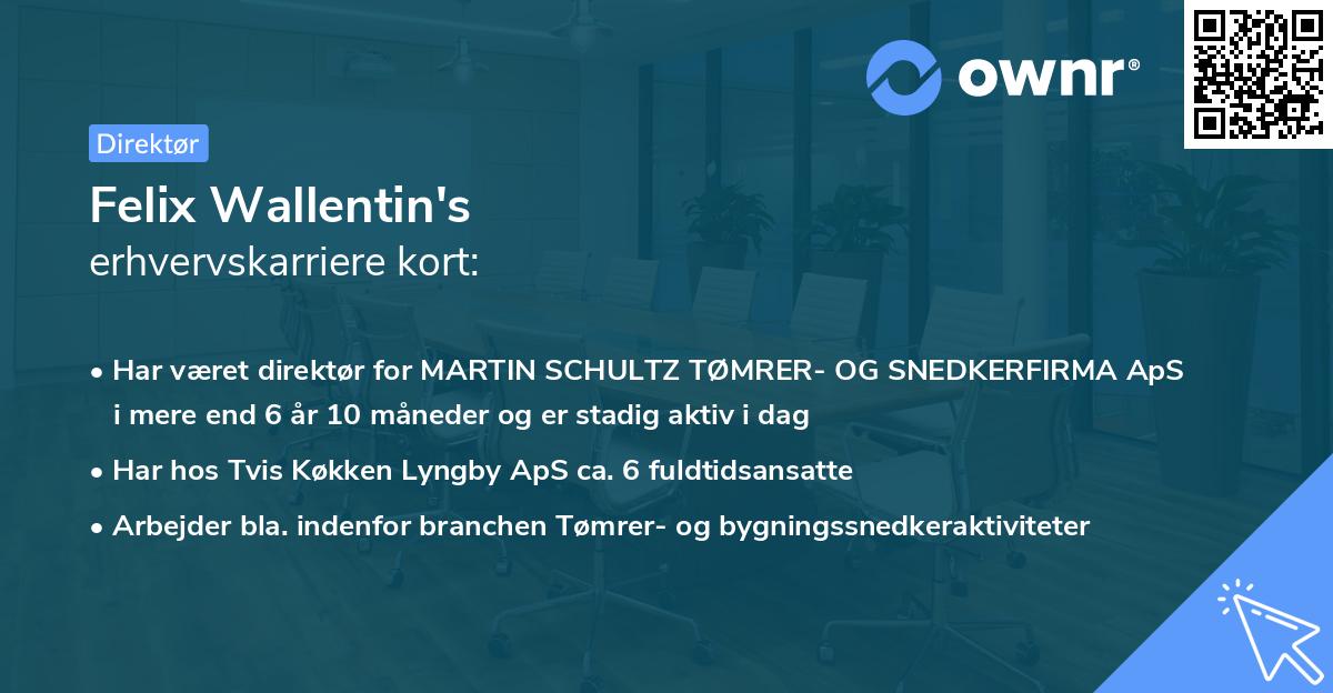 Felix Wallentin's erhvervskarriere kort
