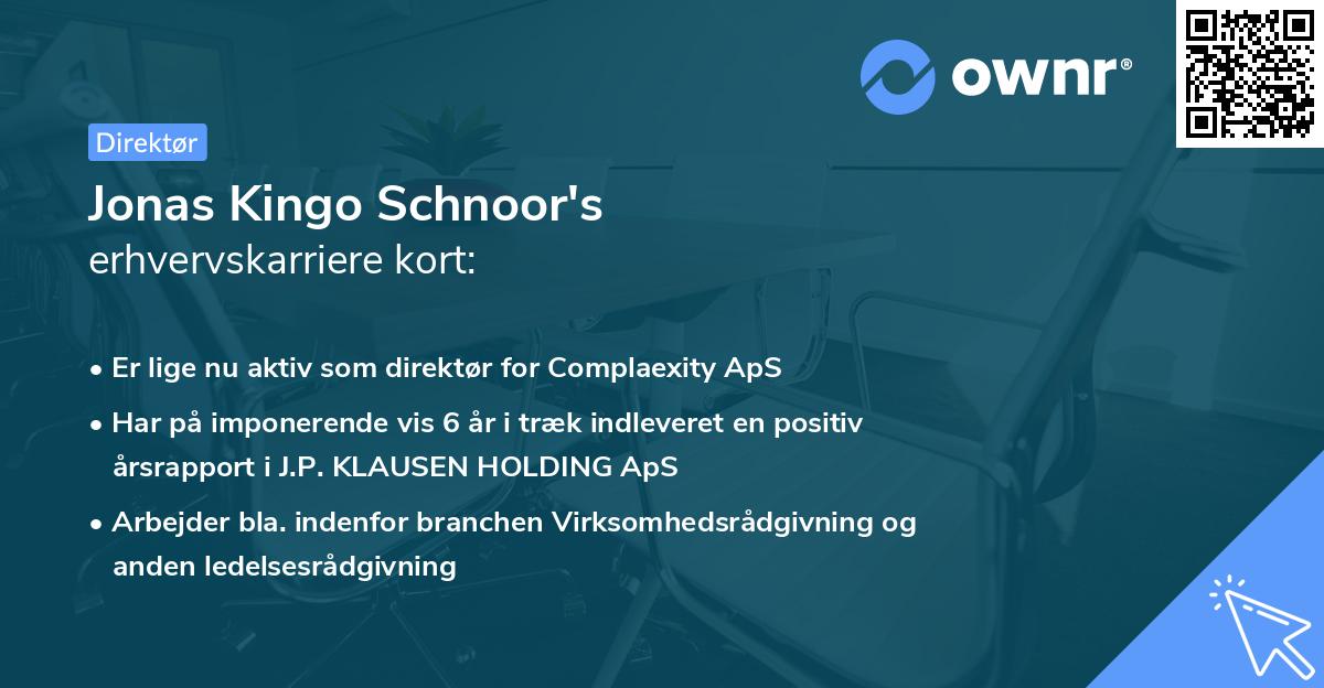 Jonas Kingo Schnoor's erhvervskarriere kort