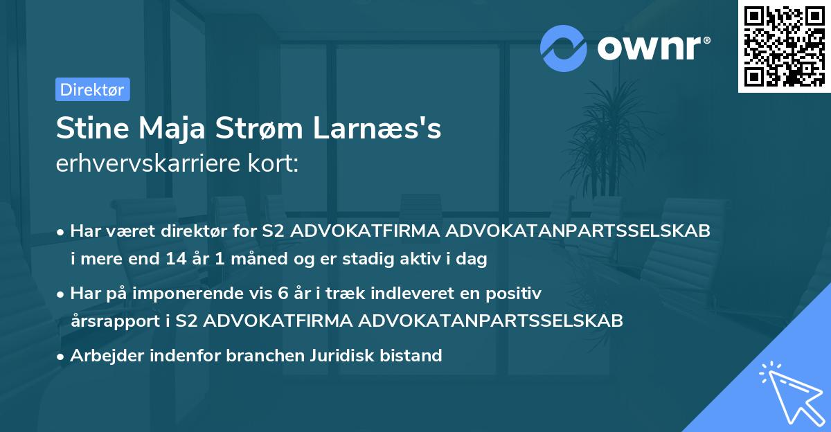 Stine Maja Strøm Larnæs's erhvervskarriere kort