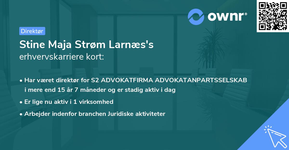 Stine Maja Strøm Larnæs's erhvervskarriere kort