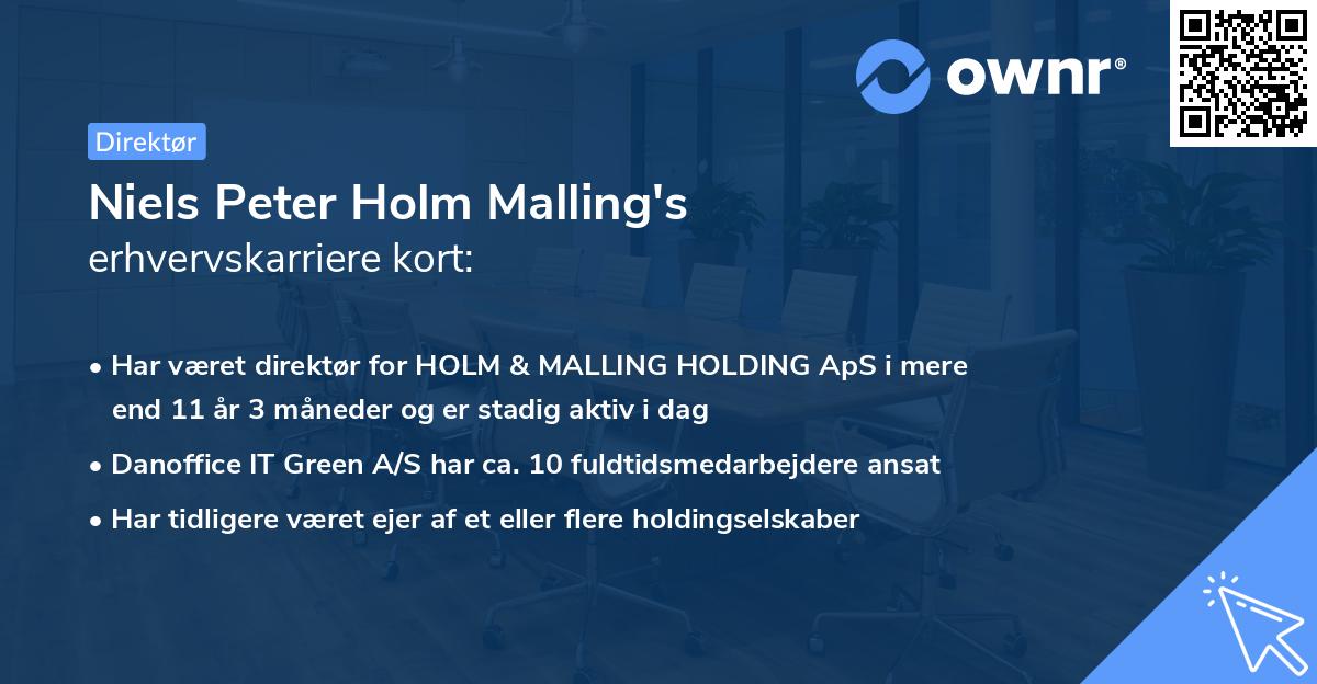 Niels Peter Holm Malling's erhvervskarriere kort