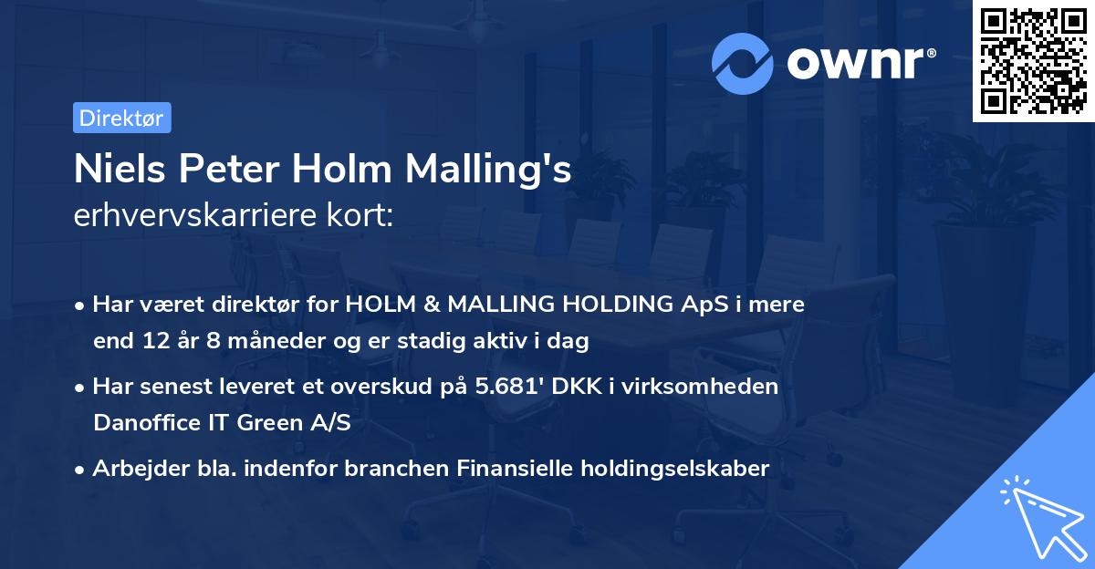 Niels Peter Holm Malling's erhvervskarriere kort