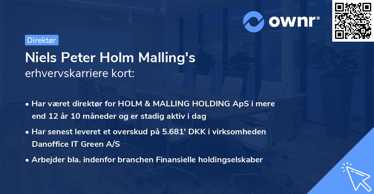 Niels Peter Holm Malling's erhvervskarriere kort
