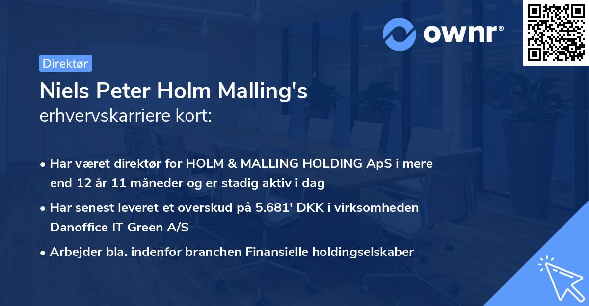 Niels Peter Holm Malling's erhvervskarriere kort
