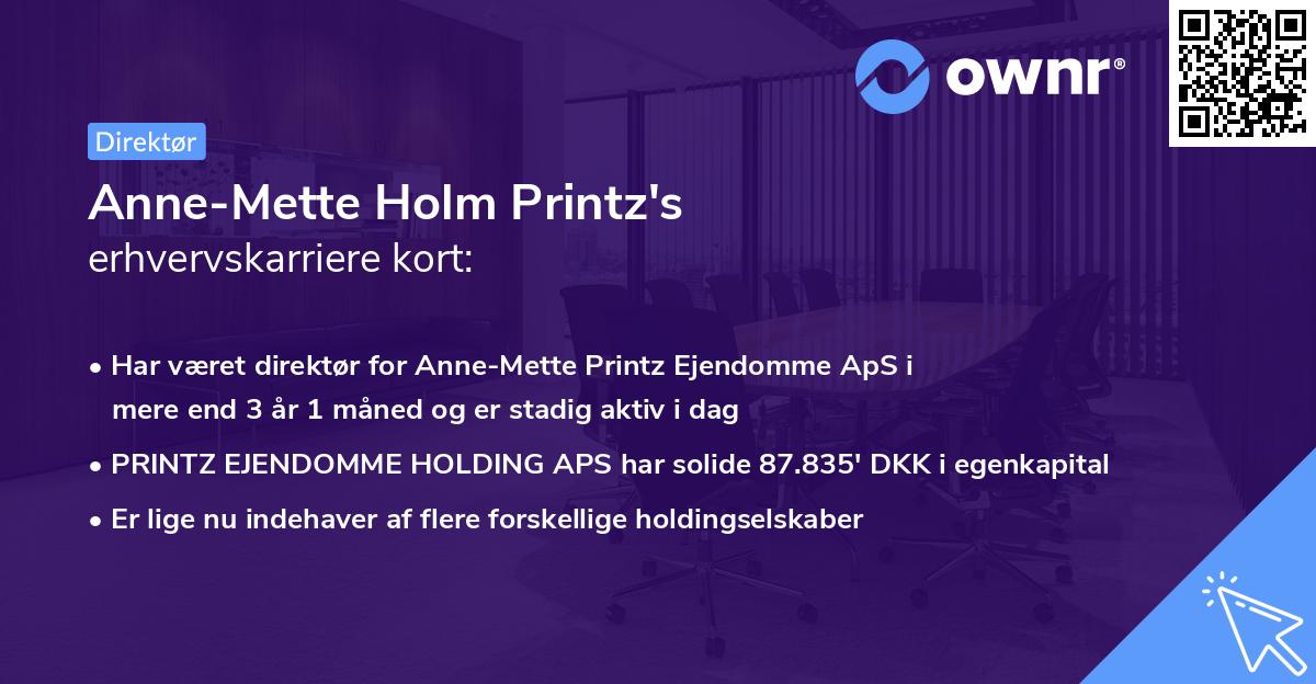 Anne-Mette Holm Printz's erhvervskarriere kort