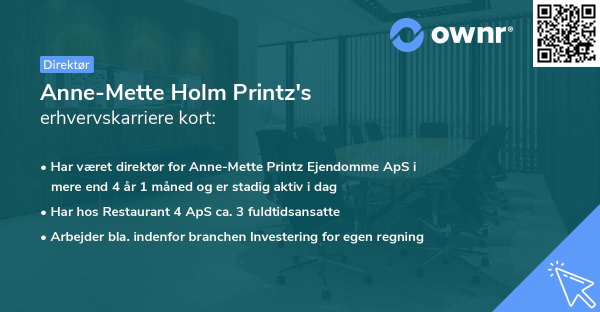 Anne-Mette Holm Printz's erhvervskarriere kort