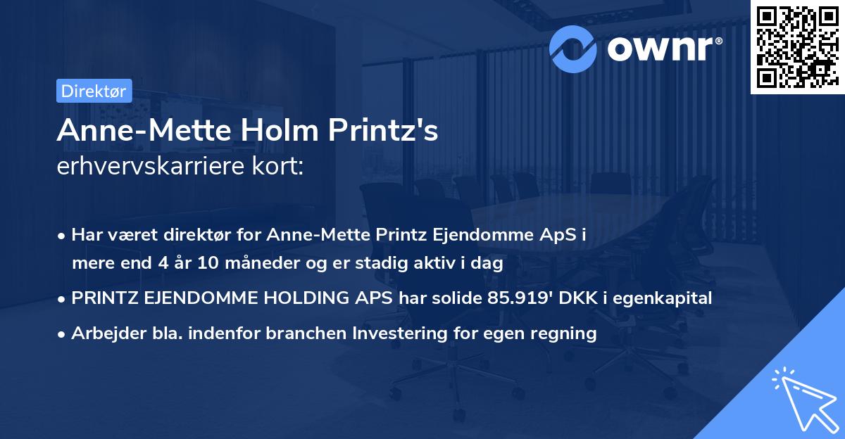 Anne-Mette Holm Printz's erhvervskarriere kort