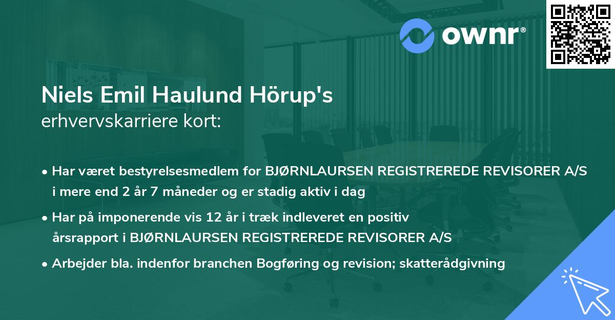 Niels Emil Haulund Hörup's erhvervskarriere kort